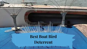 Best Boat Bird Deterrent: 7 Effective Solutions for a Cleaner Vessel